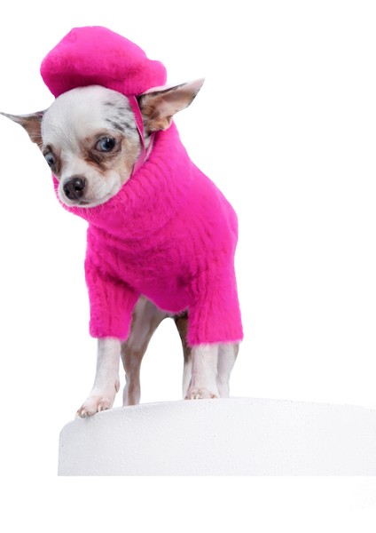 Loves It Pembe Köpek Süveter ve Şapka