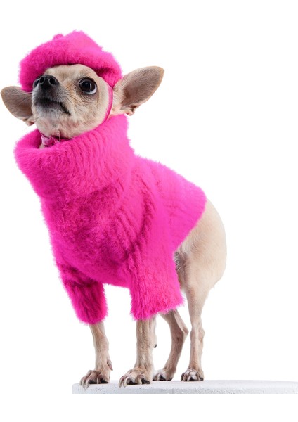 Loves It Pembe Köpek Süveter ve Şapka