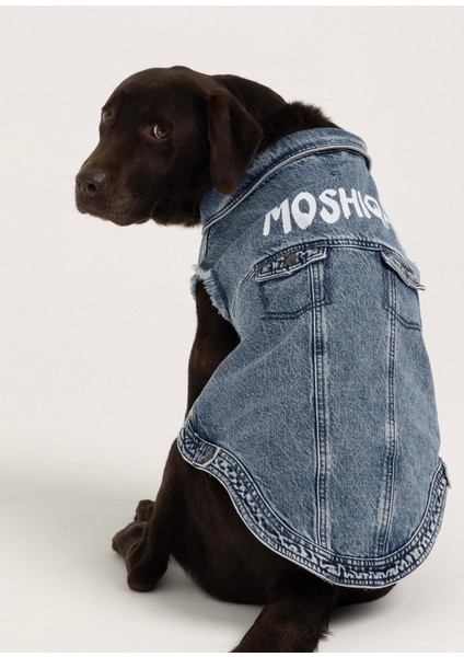 Denim Lacivert Köpek Ceketi fiyatları