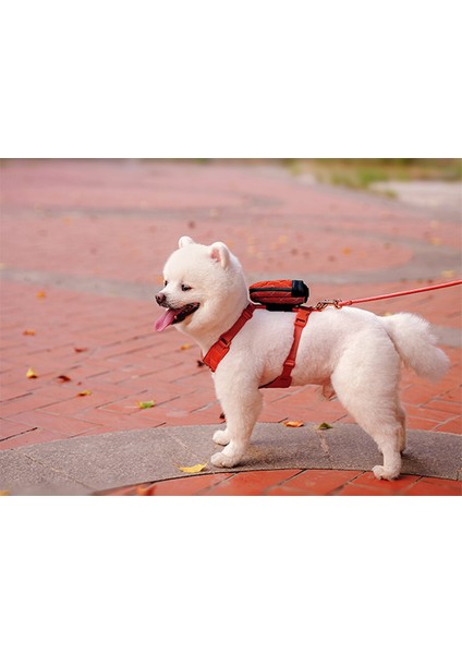 Bio-Based Kahverengi Köpek Tasma Seti