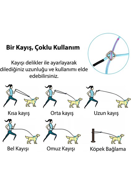 Bio-Based Kahverengi Köpek Tasma Seti
