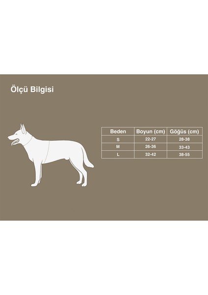 Bio-Based Kahverengi Köpek Tasma Seti