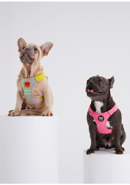 Bonbon Pembe Köpek Göğüs Tasması