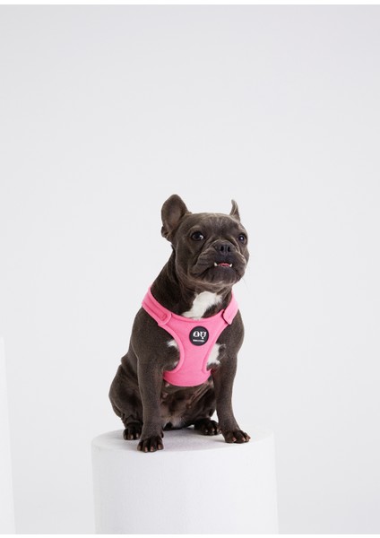 Bonbon Pembe Köpek Göğüs Tasması