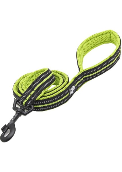 Neon Sarı Yumuşak Süngerli Köpek Tasma Kayışı