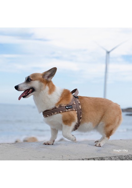 Blossom Kırmızı Köpek Göğüs Tasması
