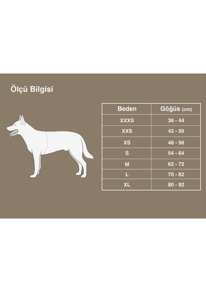 Blossom Kırmızı Köpek Göğüs Tasması