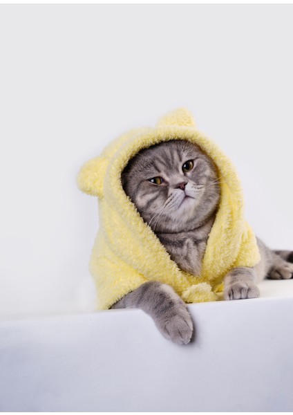 Baby Chick Sarı Kedi Bornozu
