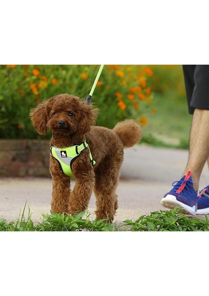 Oxford Kumaşlı Sarı Mesh Köpek Göğüs Tasması