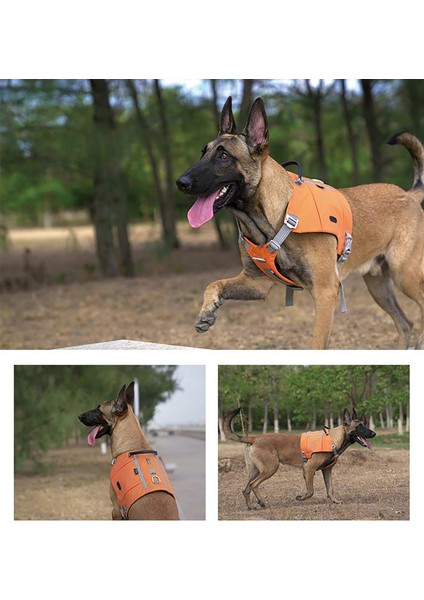 Cordura Kumaşlı Cepli Turuncu Köpek Göğüs Tasması
