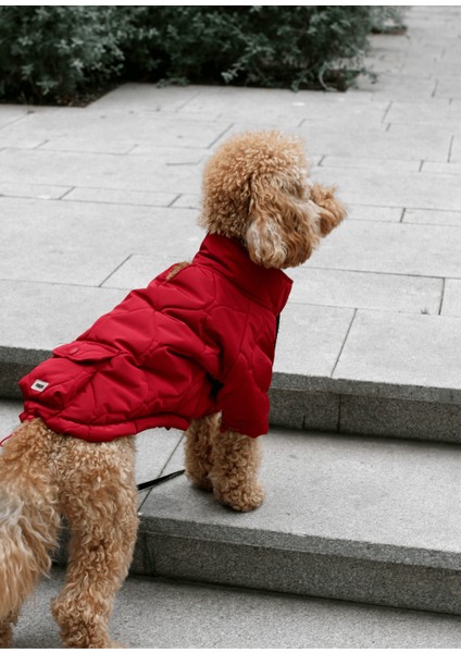 Kırmızı Köpek Montu
