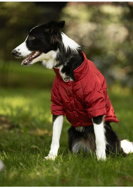Kırmızı Köpek Montu