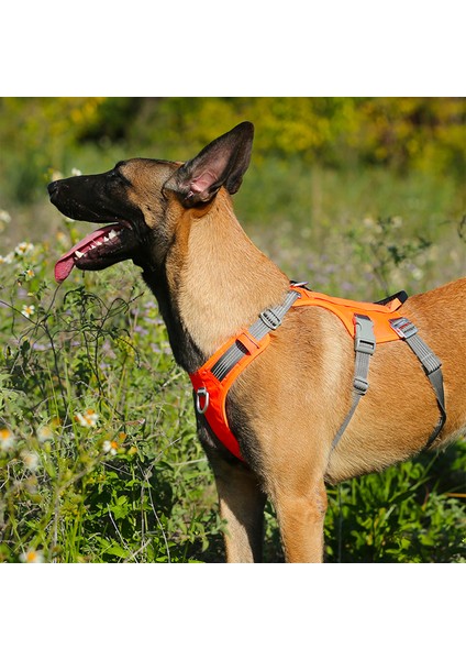 Tactical Turuncu Köpek Göğüs Tasması