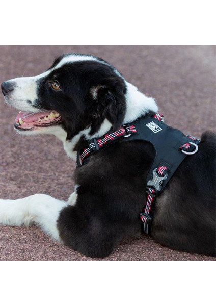Cordura Kumaşlı Siyah Köpek Göğüs Tasması