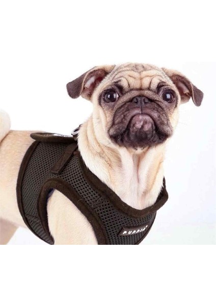 Soft Vest Kahverengi Air-Mesh Köpek Göğüs Tasması