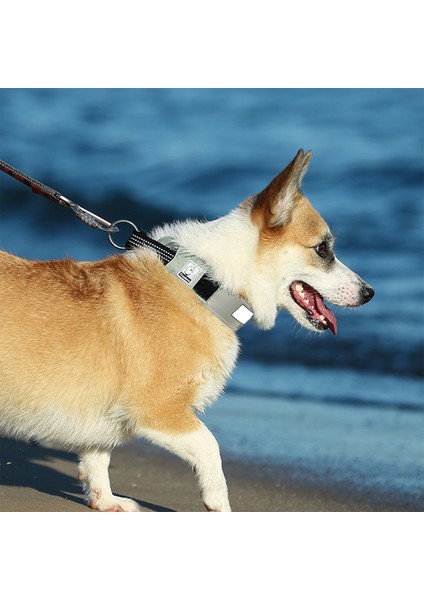 Cordura Kumaşlı Mesh Gri Köpek Boyun Tasması