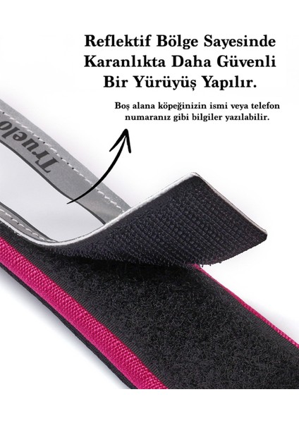 Cordura Kumaşlı Mesh Gri Köpek Boyun Tasması