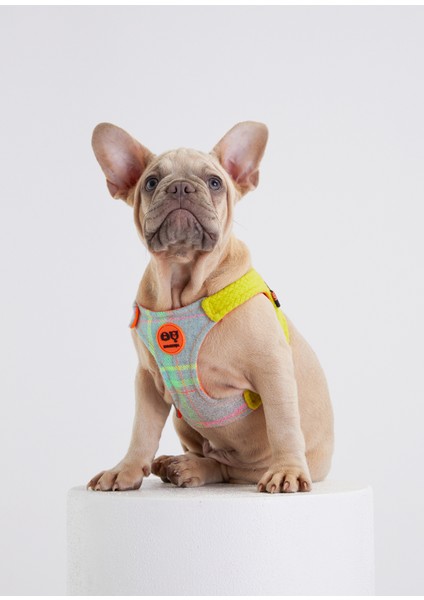 Tartan Gri Köpek Göğüs Tasması