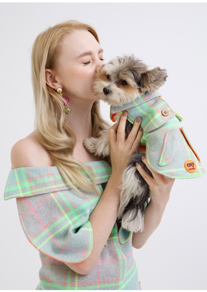Tartan Gri Köpek Göğüs Tasması
