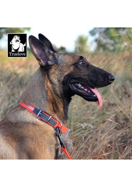 Durapup Sarı Köpek Boyun Tasması