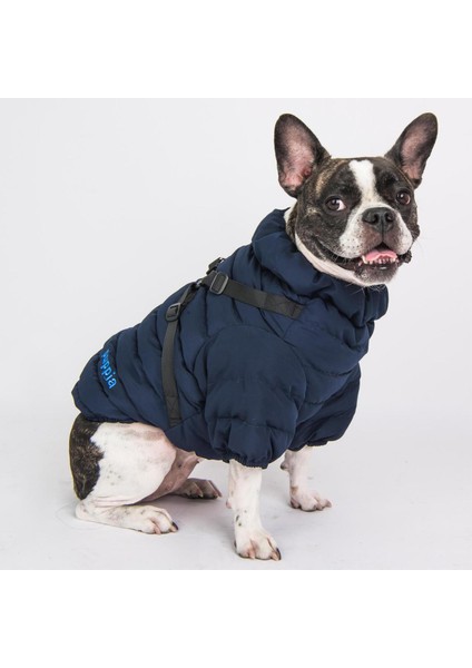 Soft Jumper Lacivert Tasmalı Köpek Montu
