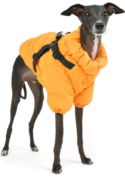 Soft Jumper Turuncu Tasmalı Köpek Montu