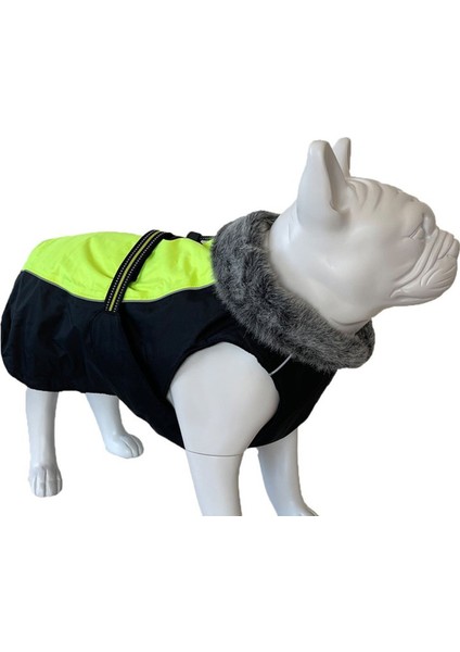 Neon Sarı Su Geçirmez Içi Polarlı Köpek Kıyafeti