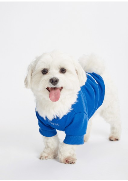 Awesome Sloganlı Mavi Köpek Sweatshirt