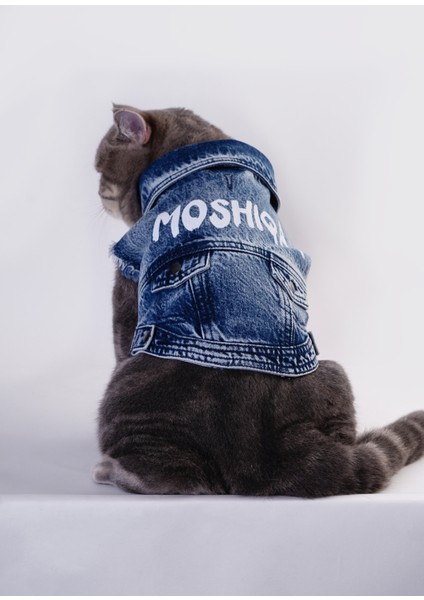Lacivert Denim Kedi Ceketi modelleri