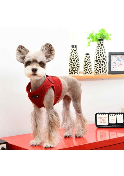 Soft Vest Wine Kırmızı Köpek Göğüs Tasması