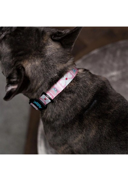 Ispet Pinky Pembe Köpek Boyun Tasması