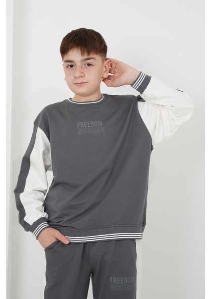 Erkek Çocuk Iki Iplik Kumaş Çizgili Bisiklet Yakalı Eşofman Takımı fiyatları