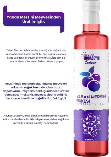 Doğal Antioksidan Yaban Mersini Sirkesi 500 ml modelleri