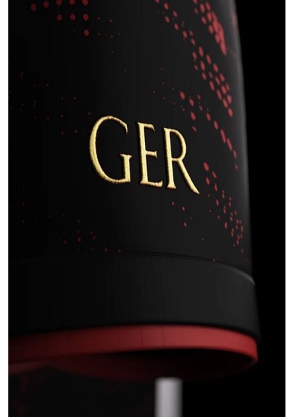 Almanya Die Adler Euro Edition Futbol Forması fırsatları