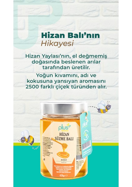 Süzme Hizan Balı 420 gr fırsatları