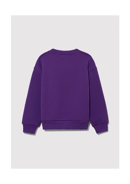 Tweety Baskılı Baskılı Mor Sweatshirt 7S10073-70633