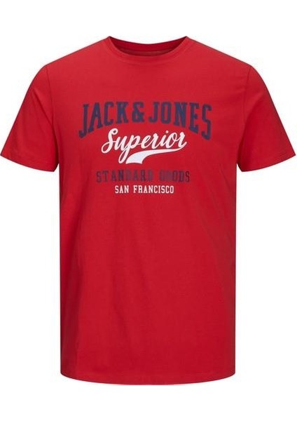 Logo Tee Ss O-Neck 2 Col Erkek Kırmızı Tshirt 12210819-17