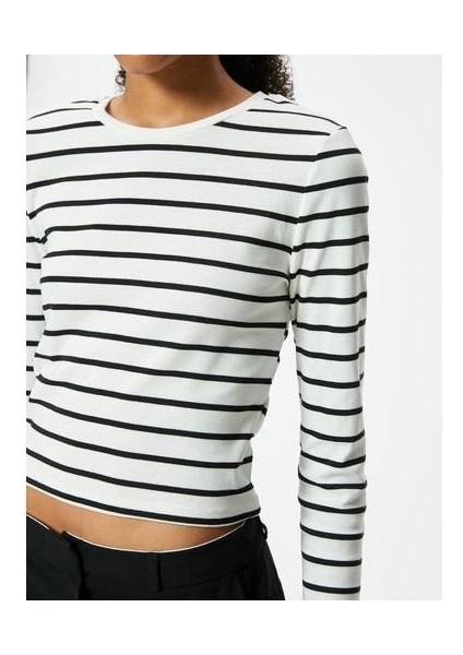 Uzun Kollu Crop Tişört Bisiklet Yaka Slim Fit Pamuklu modelleri