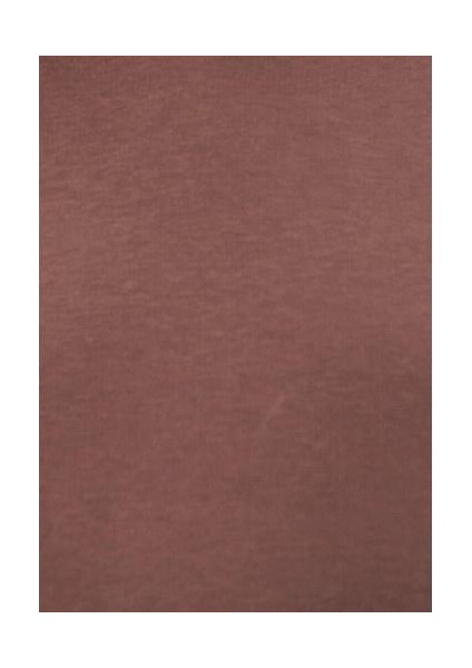 Kadın Kapüşonlu Kahverengi Basic Sweatshirt 167299-70383