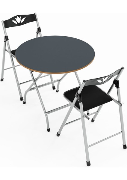 Katlanır Masa ve 2 Sandalye Seti, Şık ve Kullanışlı, Füme Renk, 1458 fırsatları