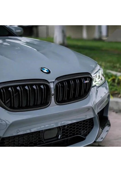 Bmw F90 Karbon Böbrek fiyatları