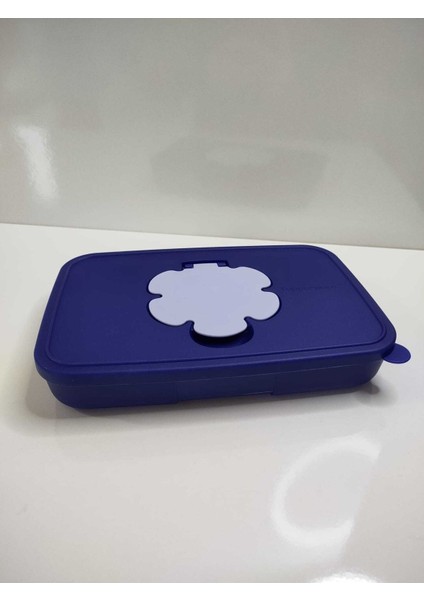 Mavi Ince Islak Mendil Kutusu, Şık ve Pratik Tasarım modelleri