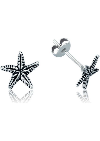 Gümüş Deniz Yıldızı Çivili Küpe