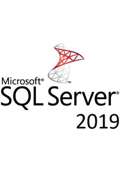 Sql Server 2019 Standard Dijital Lisans