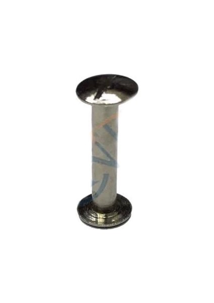 Cilt Menü, Katalog, Kartela Vidası, 20 mm - Nikel, 1 Adet