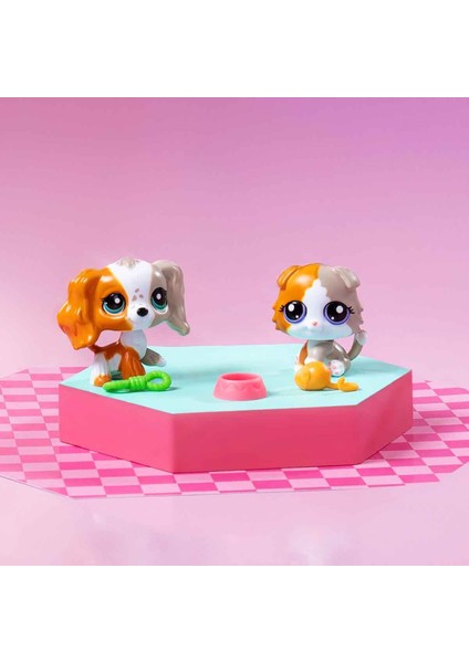 Minişler 2’li Figür Seti S3 - 153&AMP;152 Spanyel Köpek ve Scottis Fold Longhair Kedi