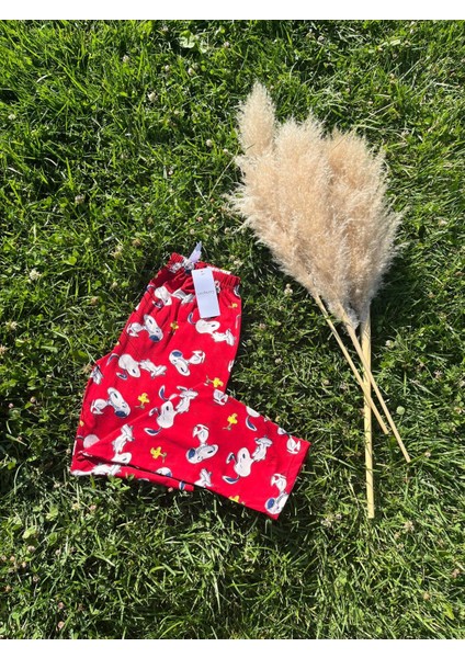 Kadın Kırmızı Milan Pijama Altı fiyatları