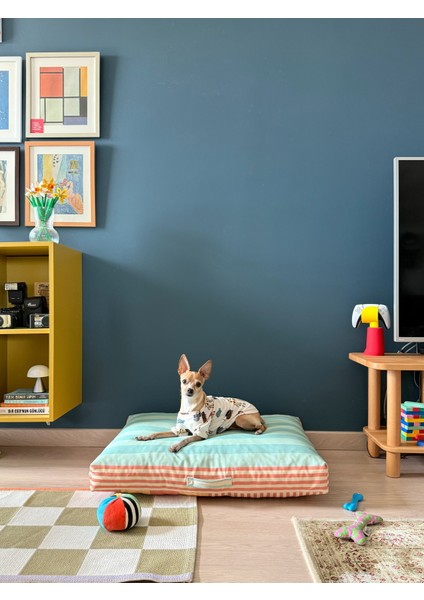 Saltly Minder Kedi ve Köpek Yatağı