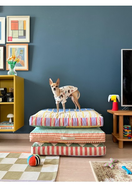 Saltly Minder Kedi ve Köpek Yatağı