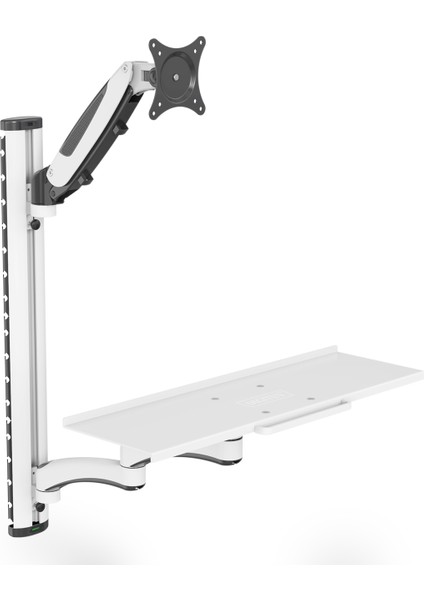 Çalışma Alanı Evrensel Tutucu Duvara Montajı 32 Inç, 8 Kg, Vesa